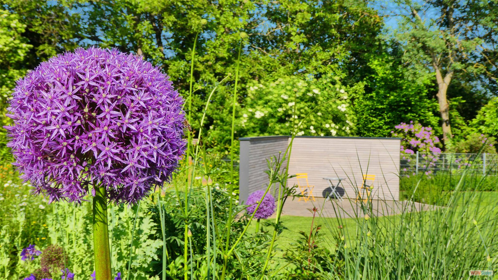 50 Garten