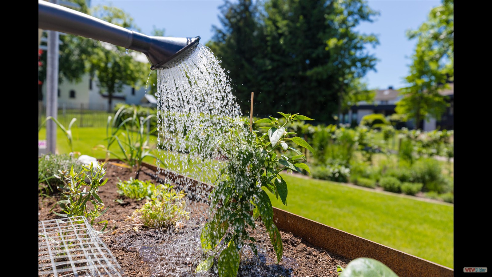 Iringweg Gartenplanung 9 Raumkontrast