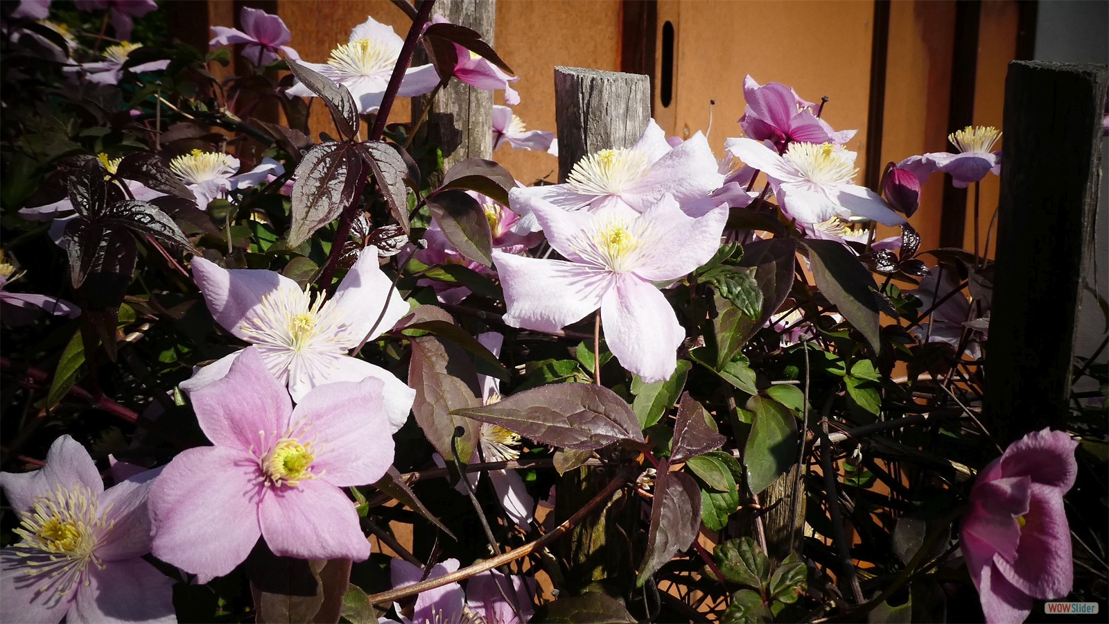 Werdener Hof Gartenplanung 12 Raumkontrast