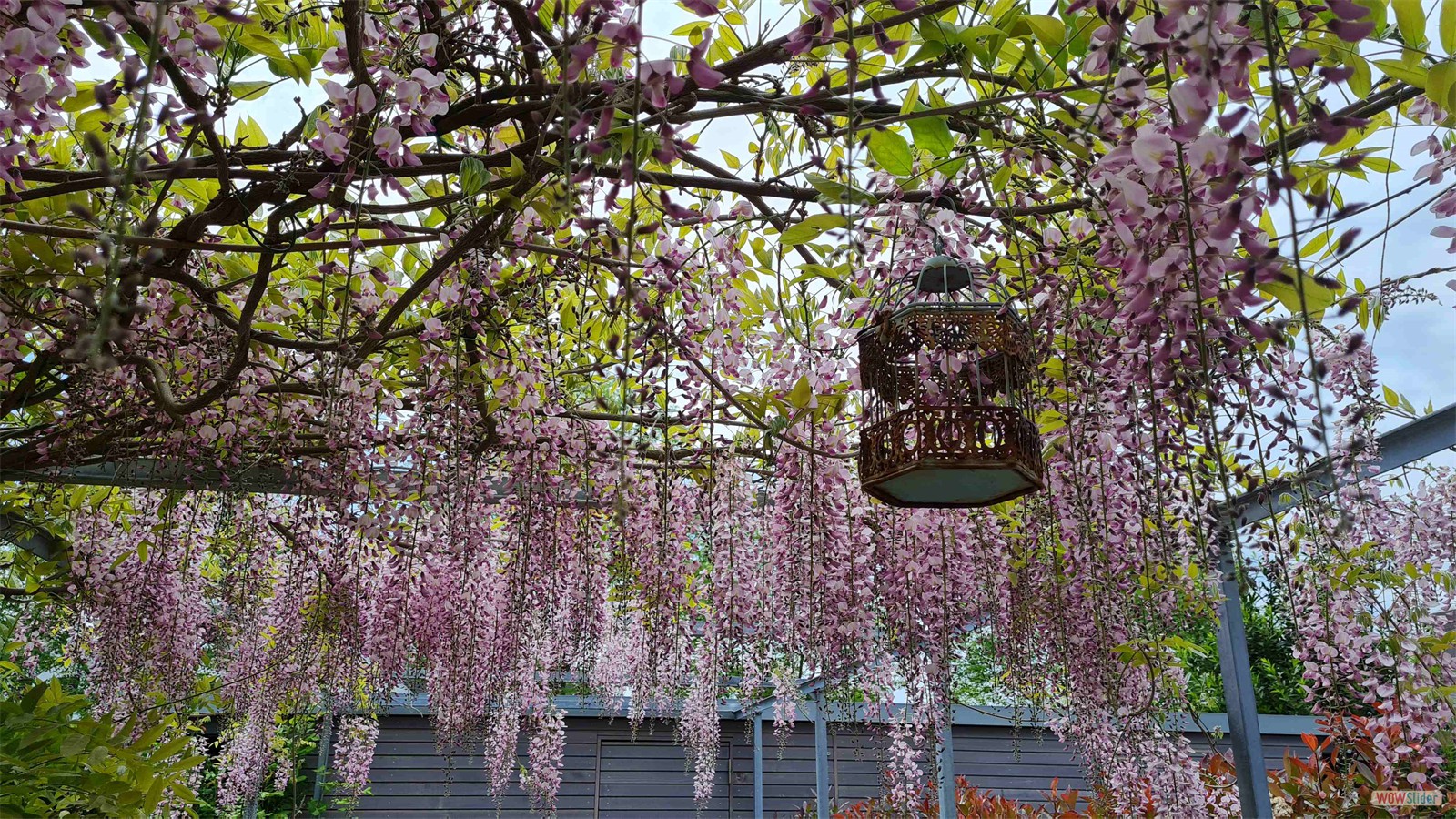 Werdener Hof Gartenplanung 17 Raumkontrast